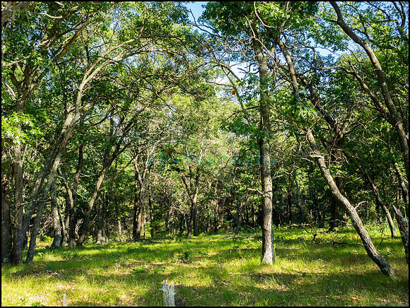 p8140118_web