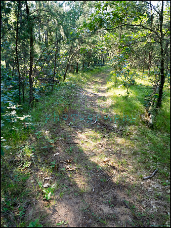 p8140224_web