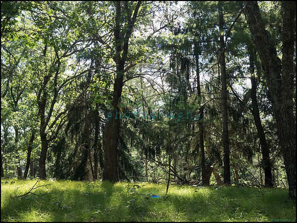 p8140106_web