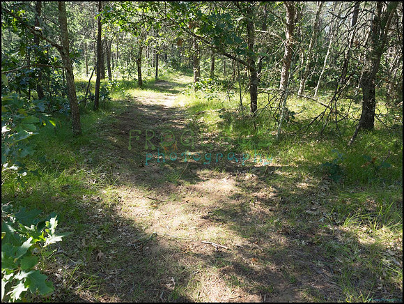 p8140148_web