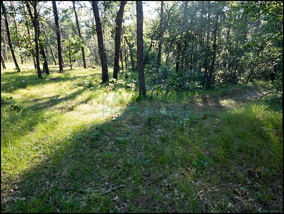 p8140222_web