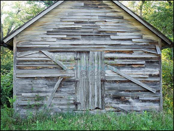 p8140250_web