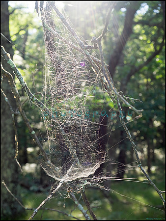 p8140209_web