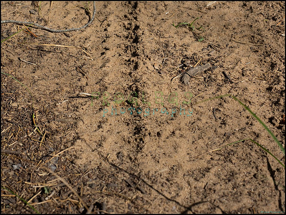p8140140_web