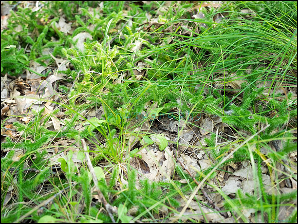 p8140100_web
