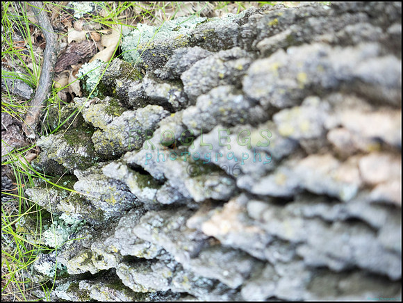 p8140204_web