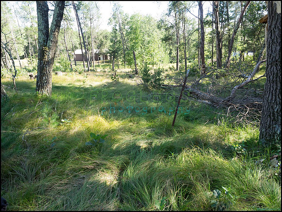 p8140161_web