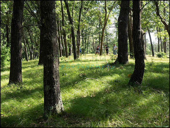 p8140107_web