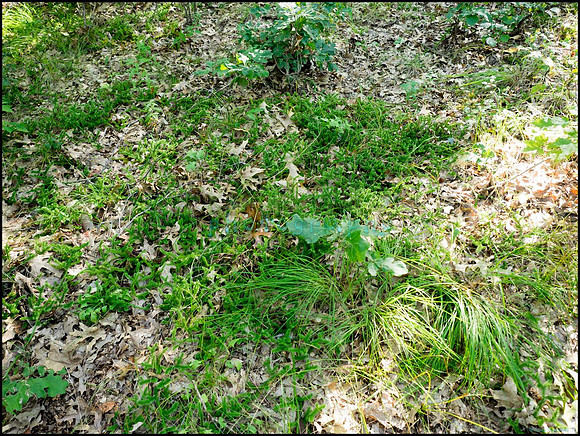 p8140099_web