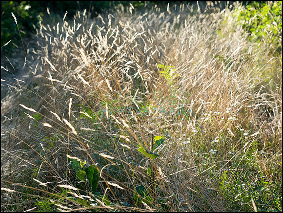 p8140237_web