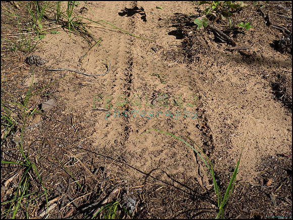 p8140141_web