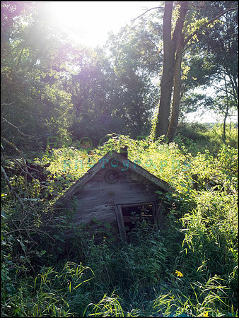 p8140246_web