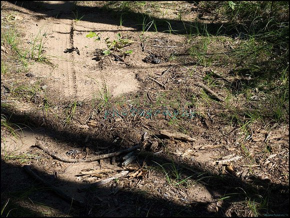 p8140138_web