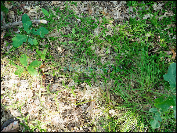 p8140096_web