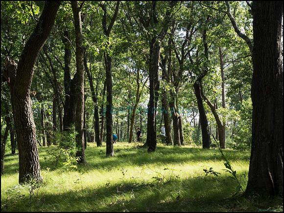 p8140105_web