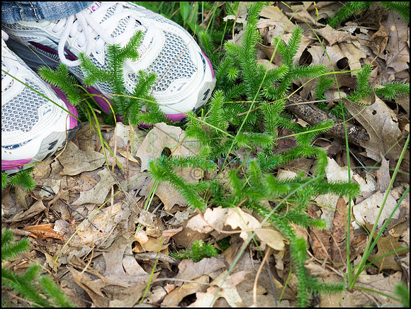 p8140101_web