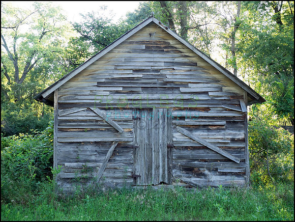 p8140252_web