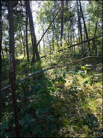 p8140164_web