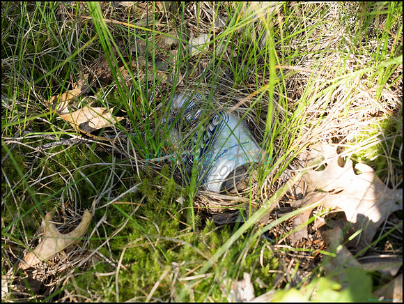 p8140144_web