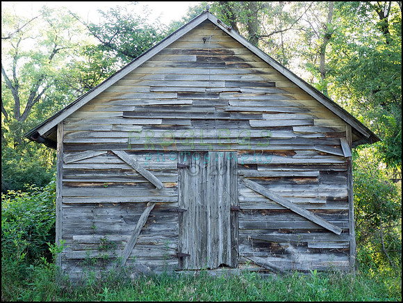 p8140251_web