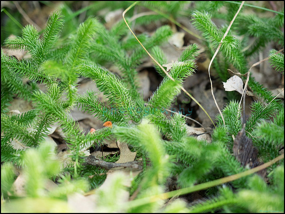 p8140103_web