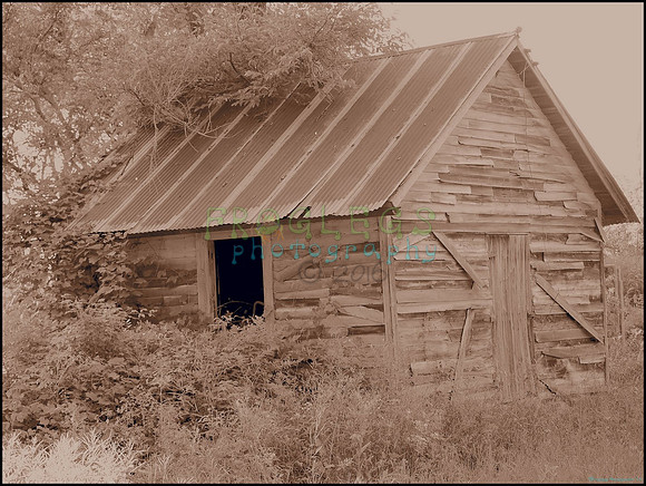 P8140241_web