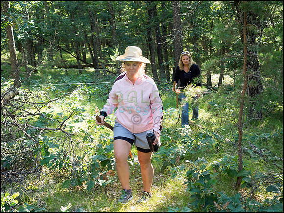 p8140198_web