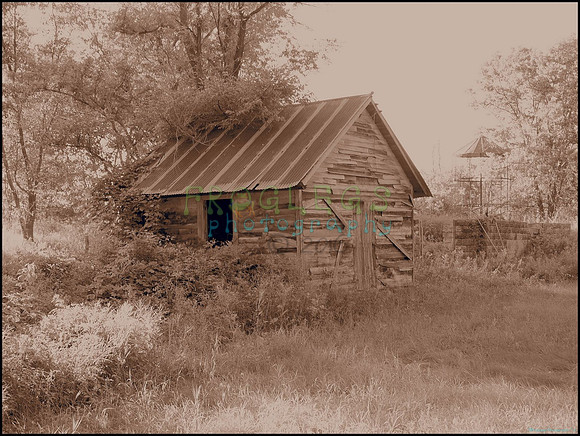 P8140242_web
