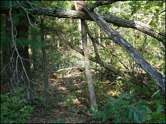p8140091_web