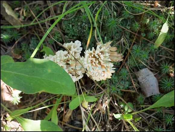 p8140087_web
