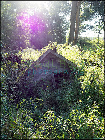 p8140245_web