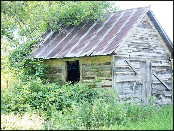 p8140240_1_web