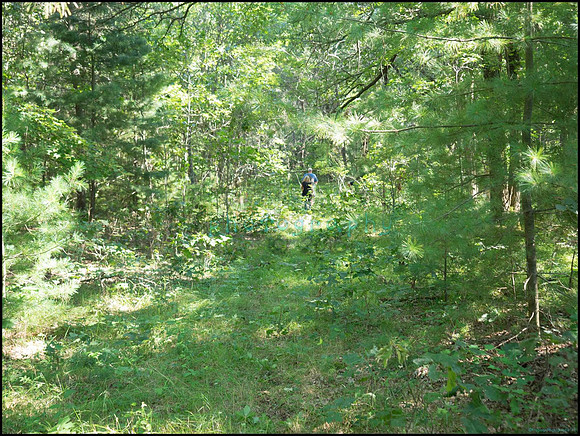 p8140092_web