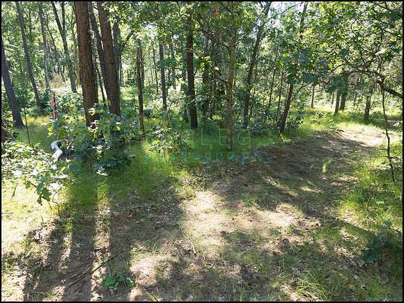 p8140146_web