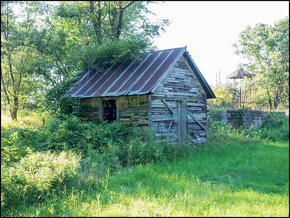 p8140242_1_web