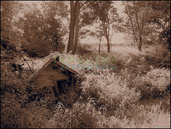P8140244_web