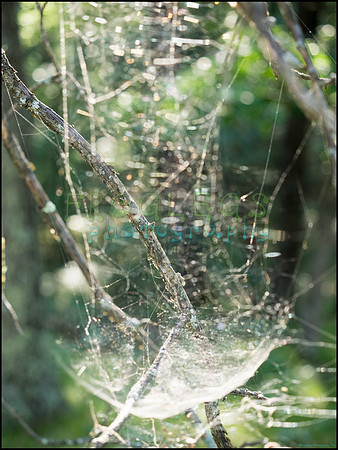 p8140214_web
