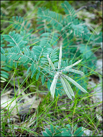 p8140203_web