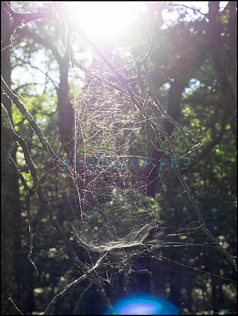 p8140208_web