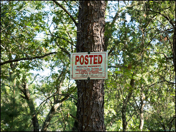 p8140199_web