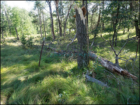 p8140162_web