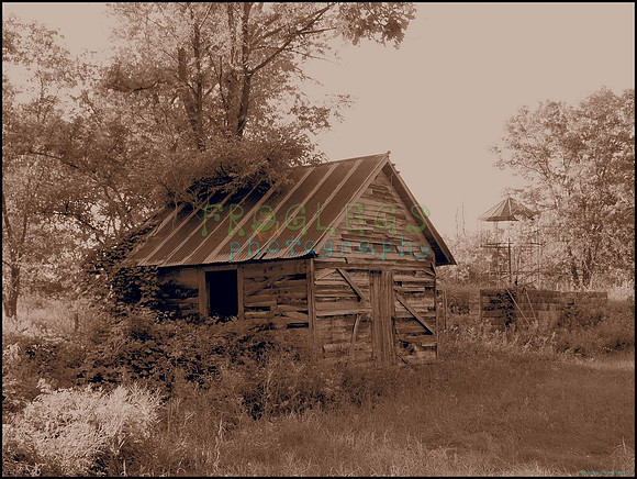 P8140243_web