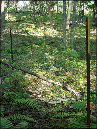p8140194_web
