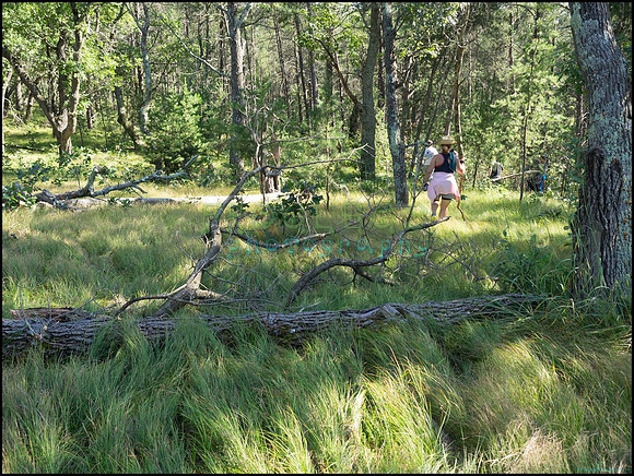 p8140123_web