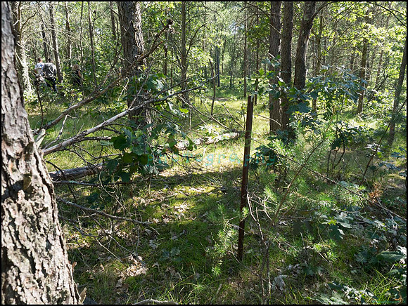 p8140126_web