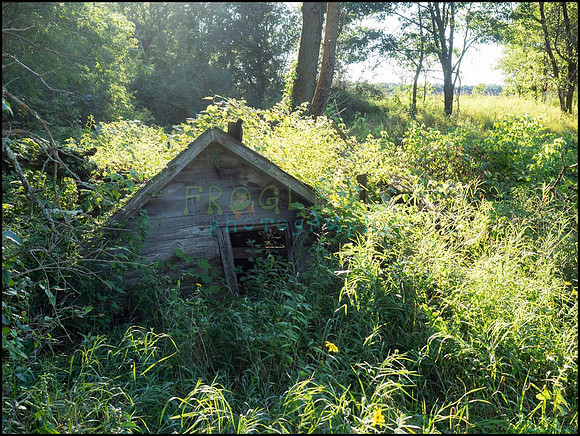 p8140247_web