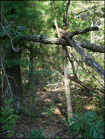 p8140089_web