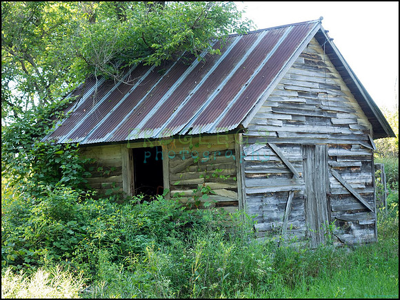p8140241_1_web