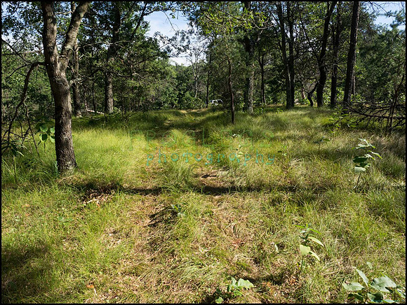 p8140160_web