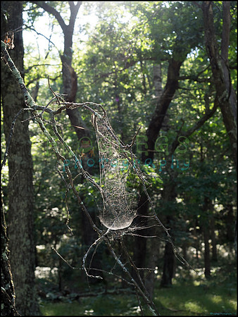 p8140207_web